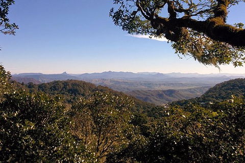 Gold Coast Lamington National Park And Tamborine Mountain 4WD Ecotour - Accommodation VIC 6