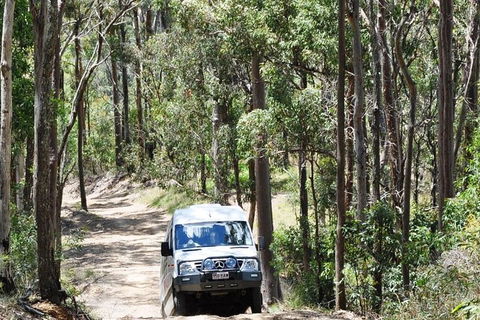 Gold Coast Lamington National Park And Tamborine Mountain 4WD Ecotour - Accommodation VIC 1
