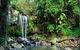 Gold Coast Lamington National Park And Tamborine Mountain 4WD Ecotour - thumb 2