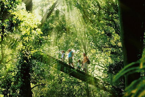 Gold Coast Lamington National Park And Tamborine Mountain 4WD Ecotour - Accommodation VIC 0