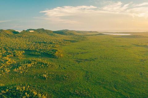 Everglades Eco Safari To Australia\'s Everglades - Accommodation VIC 14