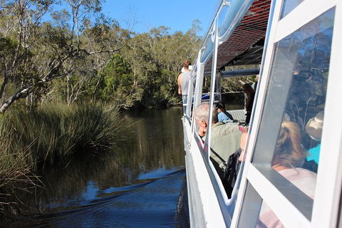 Everglades Eco Safari To Australia\'s Everglades - Accommodation VIC 3