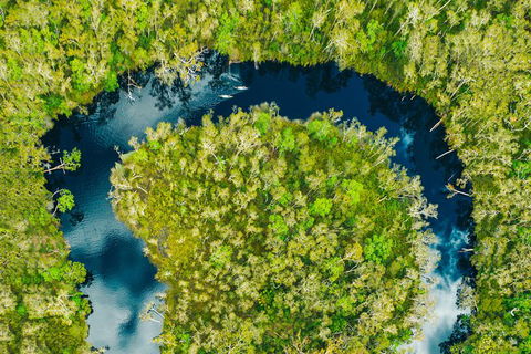 Everglades Eco Safari To Australia\'s Everglades - Accommodation VIC 8