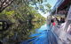 Everglades Eco Safari To Australia\'s Everglades - thumb 4