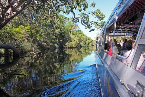 Everglades Eco Safari To Australia\'s Everglades - Accommodation VIC 4
