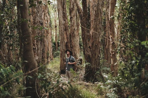 Everglades Eco Safari To Australia\'s Everglades - Accommodation VIC 7