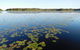 Everglades Eco Safari To Australia\'s Everglades - thumb 5