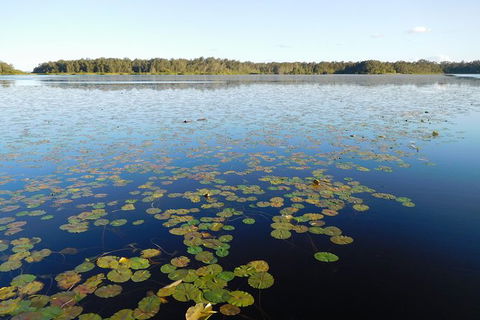 Everglades Eco Safari To Australia\'s Everglades - Accommodation VIC 5
