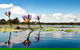 Everglades Eco Safari To Australia\'s Everglades - thumb 11