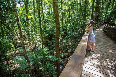 Daintree Rainforest, Cape Tribulation And Bloomfield Track Small Group Tour - Accommodation VIC 3