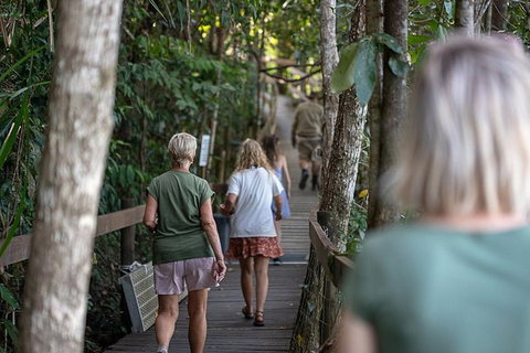 Daintree Rainforest, Cape Tribulation And Bloomfield Track Small Group Tour - Accommodation VIC 15
