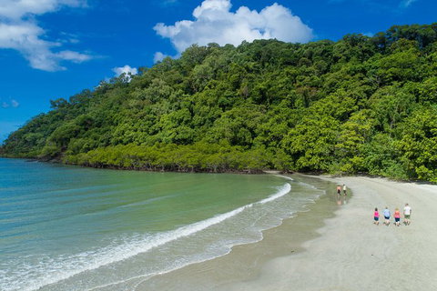 Daintree Rainforest, Cape Tribulation And Bloomfield Track Small Group Tour - Accommodation VIC 2