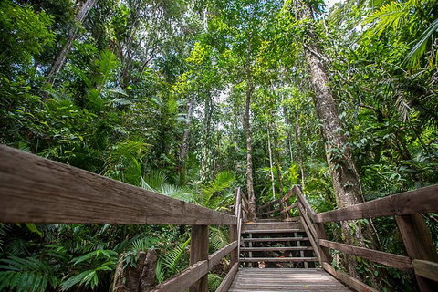 Daintree Rainforest, Cape Tribulation And Bloomfield Track Small Group Tour - Accommodation VIC 13