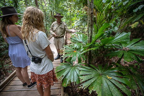 Daintree Rainforest, Cape Tribulation And Bloomfield Track Small Group Tour - Accommodation VIC 12