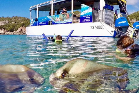Aquascene Magnetic Island Discovery Tour - Accommodation VIC 4