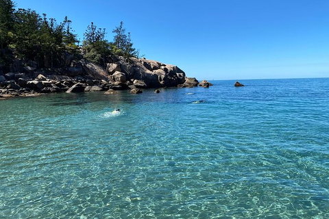 Aquascene Magnetic Island Discovery Tour - Accommodation VIC 9
