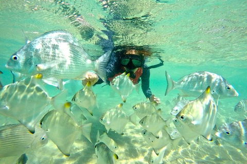 Half-Day Kayak, SUP And Snorkel Tour At Wave Break Island With Lunch - Accommodation VIC 9