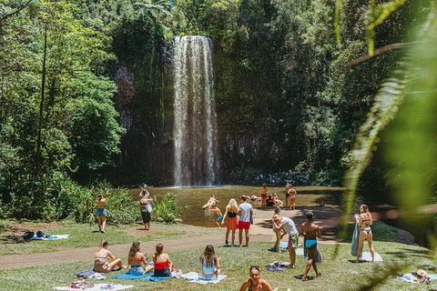 Atherton Tablelands Waterfalls And Rainforest Day Tour Departing Cairns - Accommodation VIC 4