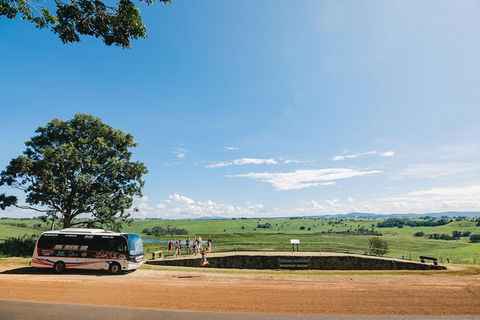 Atherton Tablelands Waterfalls And Rainforest Day Tour Departing Cairns - Accommodation VIC 9