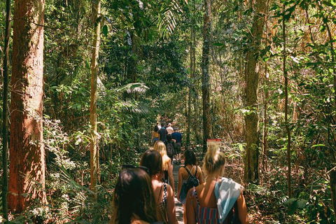 Atherton Tablelands Waterfalls And Rainforest Day Tour Departing Cairns - Accommodation VIC 10