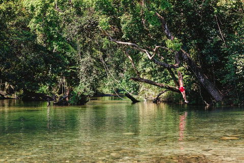 Atherton Tablelands Waterfalls And Rainforest Day Tour Departing Cairns - Accommodation VIC 3
