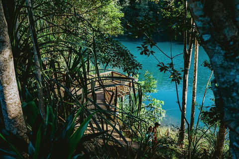 Atherton Tablelands Waterfalls And Rainforest Day Tour Departing Cairns - Accommodation VIC 5