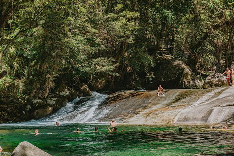 Atherton Tablelands Waterfalls And Rainforest Day Tour Departing Cairns - Accommodation VIC 8
