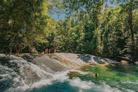 Atherton Tablelands Waterfalls And Rainforest Day Tour Departing Cairns - Accommodation VIC 0