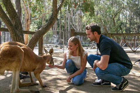 Currumbin Wildlife Sanctuary General Entry Ticket - Accommodation VIC 1