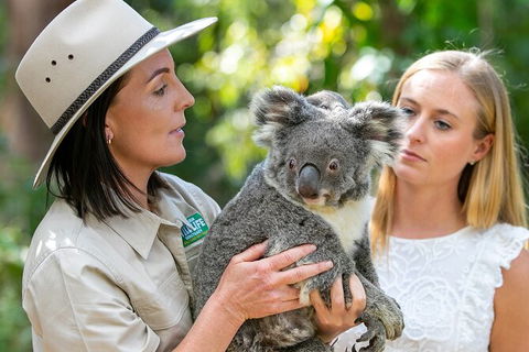 Currumbin Wildlife Sanctuary General Entry Ticket - Accommodation VIC 6