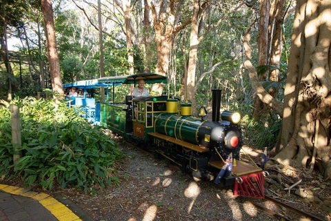 Currumbin Wildlife Sanctuary General Entry Ticket - Accommodation VIC 13