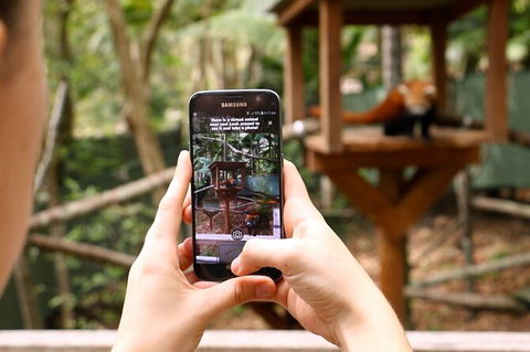 Currumbin Wildlife Sanctuary General Entry Ticket - Accommodation VIC 4