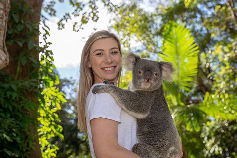 Currumbin Wildlife Sanctuary General Entry Ticket - Accommodation VIC 0