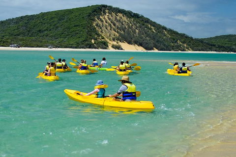 Kayak With Dolphins And 4WD Great Beach Drive Day Trip From Noosa - Accommodation VIC 8