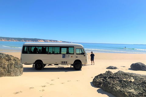 Kayak With Dolphins And 4WD Great Beach Drive Day Trip From Noosa - Accommodation VIC 17