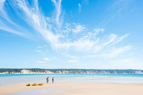 Kayak With Dolphins And 4WD Great Beach Drive Day Trip From Noosa - Accommodation VIC 16