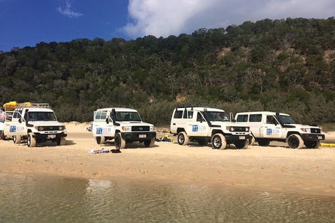 Kayak With Dolphins And 4WD Great Beach Drive Day Trip From Noosa - Accommodation VIC 9