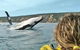 Kayak With Dolphins And 4WD Great Beach Drive Day Trip From Noosa - thumb 1