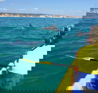 Kayak with Dolphins and 4WD Great Beach Drive Day Trip from Noosa - Accommodation VIC