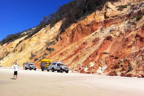 Kayak With Dolphins And 4WD Great Beach Drive Day Trip From Noosa - Accommodation VIC 12