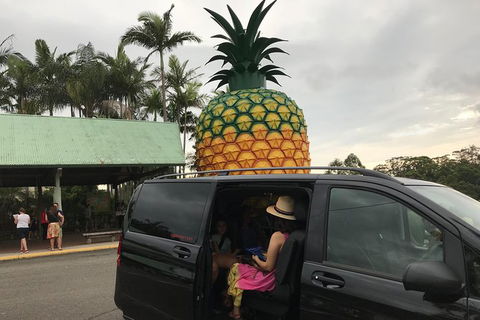 Private Transfer From Noosa To Sunshine Coast Airport- 8seater + Luggage Trailer - Accommodation VIC 3