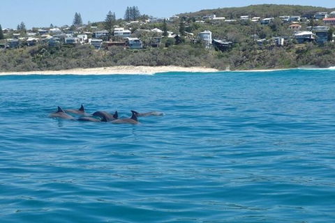 Noosa Thriller - 500hp Ocean Adventure Ride - Accommodation VIC 5