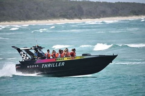 Noosa Thriller - 500hp Ocean Adventure Ride - Accommodation VIC 0