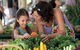 Sunshine Coast Eumundi Markets Return Minibus Transfer - thumb 5