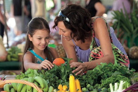 Sunshine Coast Eumundi Markets Return Minibus Transfer - Accommodation VIC 5