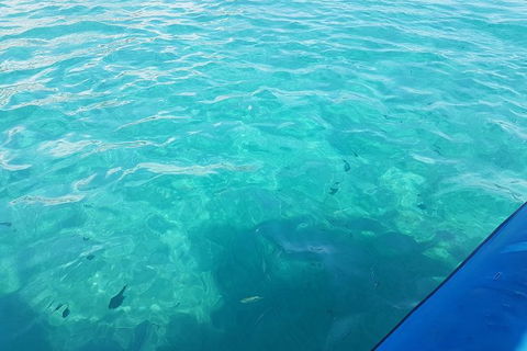 Gold Coast Try-Scuba Experience At Wave Break Island - Accommodation VIC 12