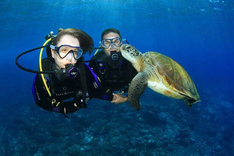 Gold Coast Try-Scuba Experience At Wave Break Island - Accommodation VIC 0