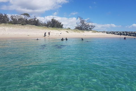 Gold Coast Try-Scuba Experience At Wave Break Island - Accommodation VIC 14