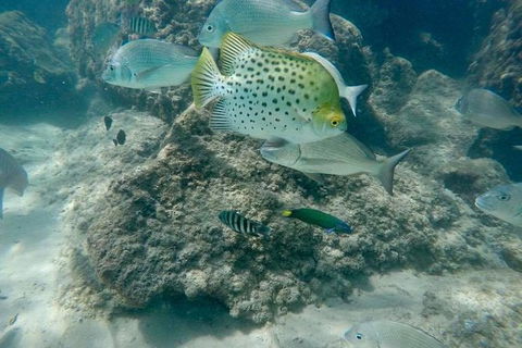 Gold Coast Try-Scuba Experience At Wave Break Island - Accommodation VIC 4