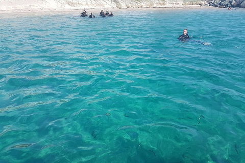 Gold Coast Try-Scuba Experience At Wave Break Island - Accommodation VIC 13